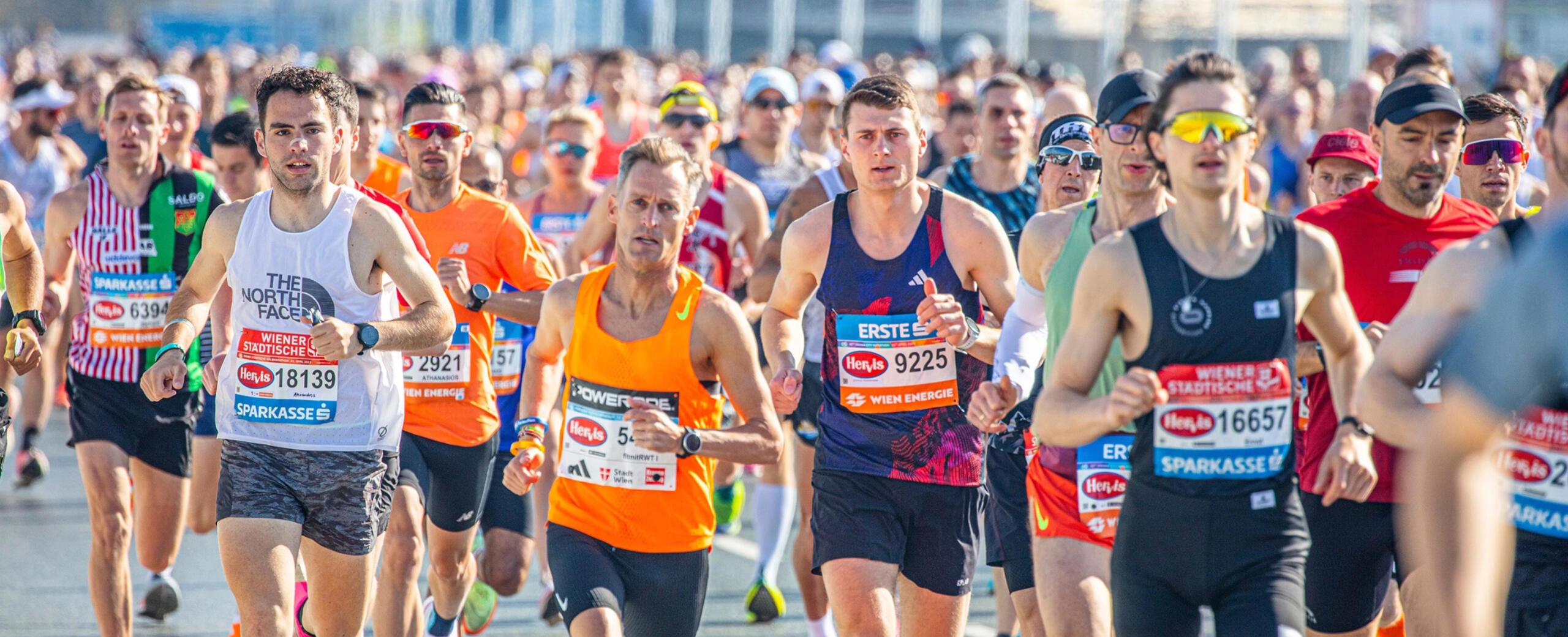 🏐 Komplety siatkarskie – od 99 zł